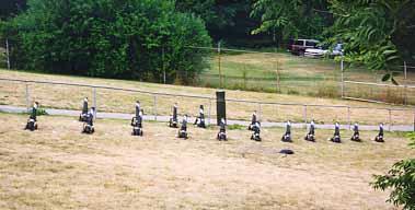 Sound, noise, or music makers?