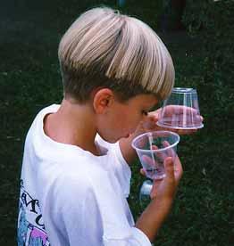 The CafeMuse Entymologist.